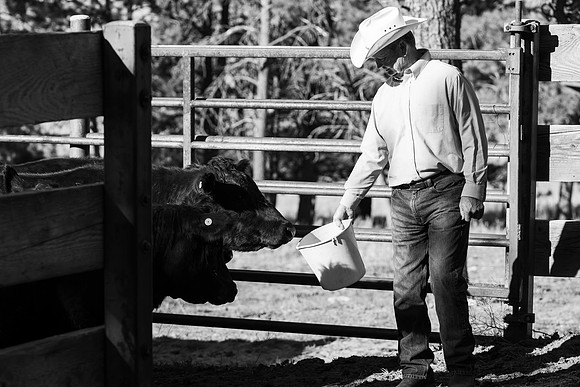 Dillavou Family B&W 0282