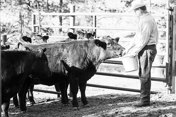 Dillavou Family B&W 0281