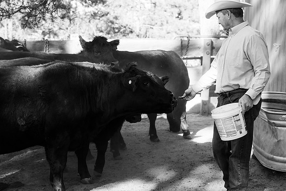Dillavou Family B&W 0283