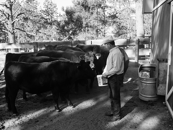 Dillavou Family B&W 0284