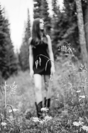 Savanna 0079