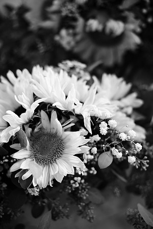 A_Pre Ceremony_0018