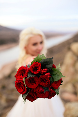 Olena & Bryan 0078