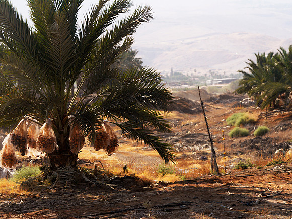 Israel with Ashley D_08.25.25_0122