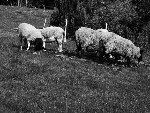 Czech Trip_0299