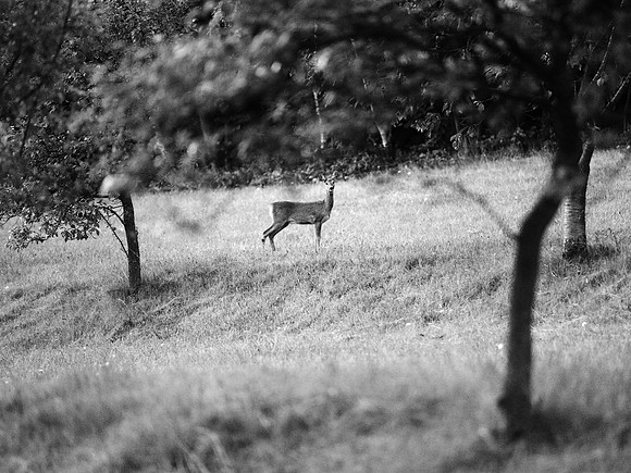 Czech Trip_0272