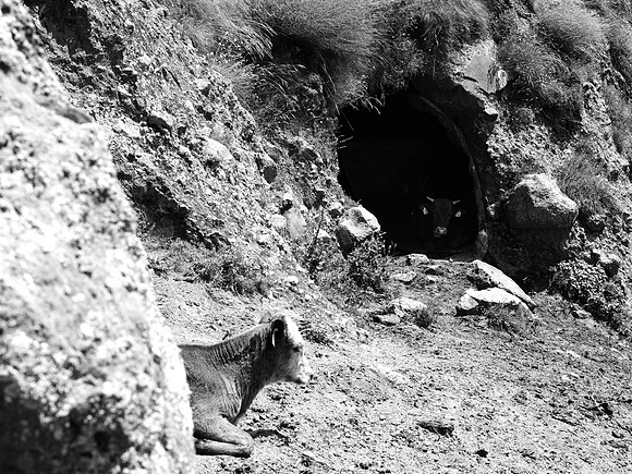 GEO_climb_BW_0047
