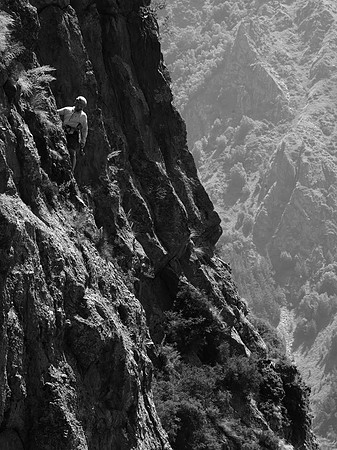 GEO_climb_BW_0024
